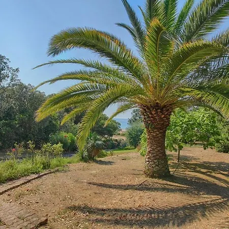 200 M De La La Liscia Tiuccia *