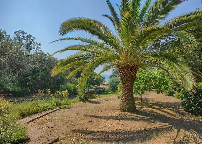 200 M De La La Liscia Tiuccia *